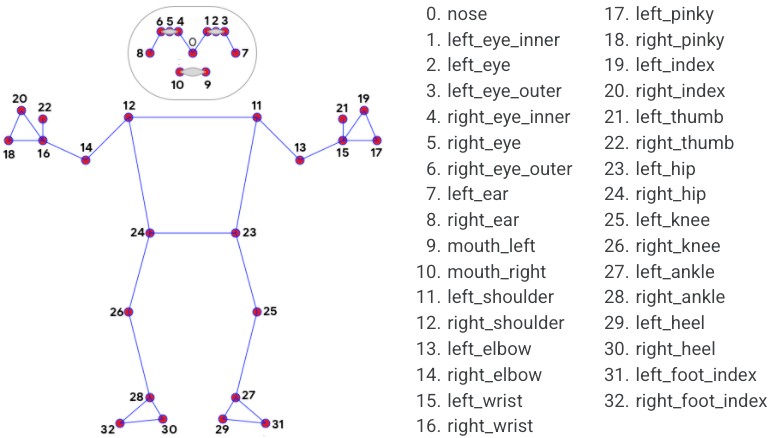 MediaPipe Pose 33 keypoints