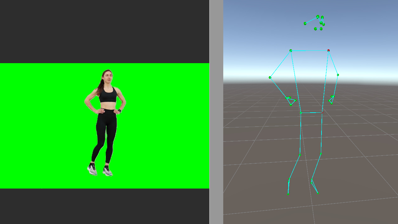 Marked pose landmarks